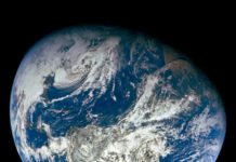 “Protejamos nuestras especies”, es el llamado de la ONU en el Día de la Tierra “Protejamos nuestras especies”, es el llamado de la ONU en el Día de la Tierra - Itagüí Hoy