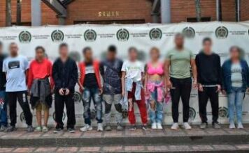 Capturan en Vegachí a 14 integrantes del Clan del Golfo, incluida una concejala