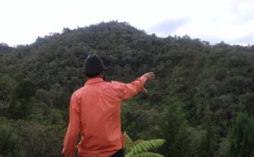 EPM entregó más de dos mil hectáreas de tierra a tres municipios de Antioquia