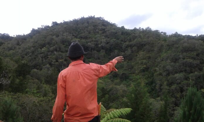 Foto EPM