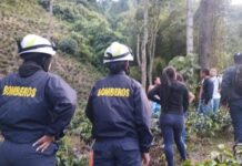 En Fredonia un hombre fue atacado por abejas y murió huyendo de ellas