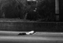 Conductor de carro atropella a un peatón ocasionándole la muerte y huye del lugar.