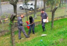 ¡Impresionante!, encontraron la cabeza de una persona en la variante a Caldas