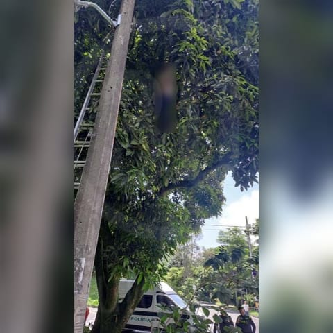 Hombre colgado en Envigado