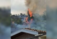 Ola de calor ya dejó incendios forestales en Medellín