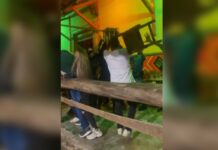 ¡Indignante!, con sillas se pelearon varios hombres en una reconocida fonda de Caldas