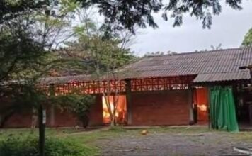 Finca bananera quedó consumida tras un incendio en Apartado