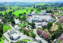 60 campesinos de Donmatías crearon una de las empresas más exitosas de Colombia