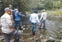 Habitantes de Santa Fe de Antioquia están sin agua por mortandad de peces en una quebrada