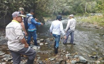Habitantes de Santa Fe de Antioquia están sin agua por mortandad de peces en una quebrada