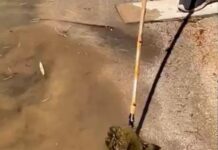 ¡Aterrador!, hallaron brujería con foto de una joven en el embalse de Guatapé