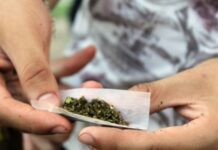 En Abejorral prohibieron el consumo de drogas en espacios públicos