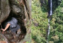 ¿Ya la conoce?, para llegar a esta cascada en Antioquia debe atravesar el tronco de un árbol