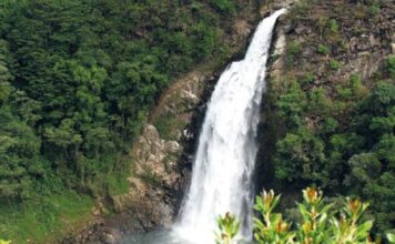 ¿Ya las conoce?, estas son las cascadas más famosas que puede visitar en Antioquia