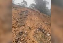 Briceño está incomunicado por derrumbes que causaron las lluvias, alcalde solicitó ayuda