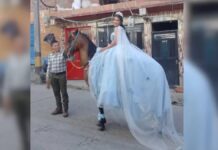 ¡Qué originalidad!, quinceañera llegó a su misa montada a caballo en Argelia