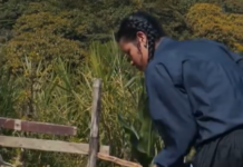 Campesinas cosechan sueños y calidad local