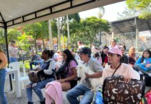 ¡Gratis! Jornadas de esterilización para perros y gatos en Medellín