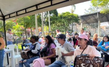 ¡Gratis! Jornadas de esterilización para perros y gatos en Medellín