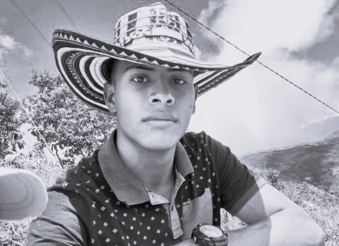 dideison 2