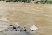 Hallazgo de cuerpo sin vida en Girardota