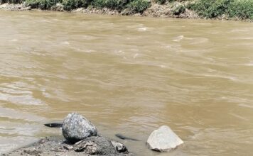 Hallazgo de cuerpo sin vida en Girardota