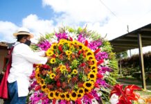 Desfile de Silleteros marca el cierre de la Feria de Flores 2024
