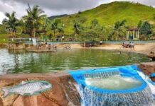 El balneario Nudillales en Alejandría lleva 41 días cerrado