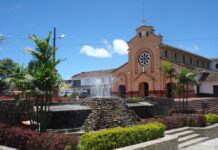 Mejora en la educación de Alejandría