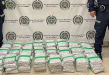 Incautan 48.000 gramos de marihuana en la Terminal del Norte