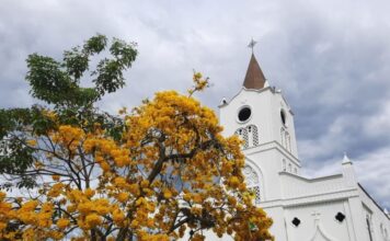 Mañana empiezan las Fiestas del Buey en Valparaíso