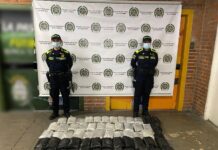 Incautan 75mil gramos de estupefacientes en la Terminal del Sur