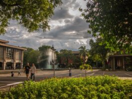 Admisiones UdeA 2025-2 ¡Inscríbete y proyecta tu futuro con un pregrado de calidad!