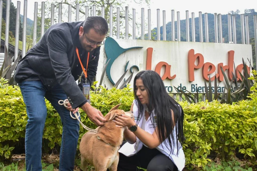 Adoptar una mascota: Un acto de amor que puede cambiar vidas 1 Adoptar una mascota: Un acto de amor que puede cambiar vidas