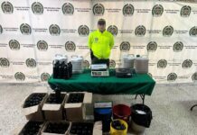 Operativos en Bello y Medellín dejan tres capturados por presunto tráfico de estupefacientes