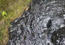 Rionegro enfrenta posible racionamiento de agua por contaminación en la quebrada Yarumal Rionegro enfrenta posible racionamiento de agua por contaminación en la quebrada Yarumal