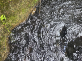 Rionegro enfrenta posible racionamiento de agua por contaminación en la quebrada Yarumal