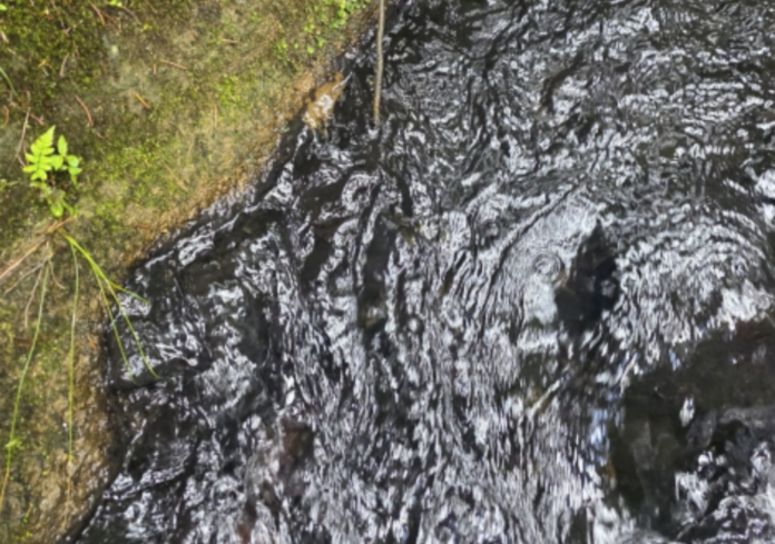Rionegro enfrenta posible racionamiento de agua por contaminación en la quebrada Yarumal