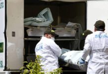 Mujer asesinada en Bello: su hijastro fue capturado como principal sospechoso Mujer asesinada en Bello: su hijastro fue capturado como principal sospechoso