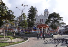 El envenenamiento de más de 20 gallinazos en Yarumal causa alarma en Antioquia El envenenamiento de más de 20 gallinazos en Yarumal causa alarma en Antioquia