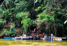 Minería ilegal en San Carlos: desmantelan operación del Clan del Golfo que extraía oro clandestinamente Minería ilegal en San Carlos: desmantelan operación del Clan del Golfo que extraía oro clandestinamente