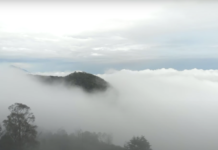 Jericó tiene un bosque donde se camina entre las nubes Jericó tiene un bosque donde se camina entre las nubes