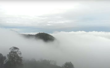 Jericó tiene un bosque donde se camina entre las nubes Jericó tiene un bosque donde se camina entre las nubes