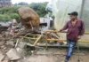 Una roca gigante cayó sobre la casa de dos adultos mayores y vivieron para contarlo
