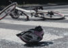 Continúa la investigación por ciclista atropellada en La Ceja