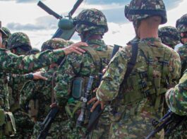 Seis militares heridos y un perro del Ejército muerto en emboscada en Valdivia