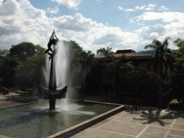 UdeA publica resultados de admisión para el segundo semestre de 2025