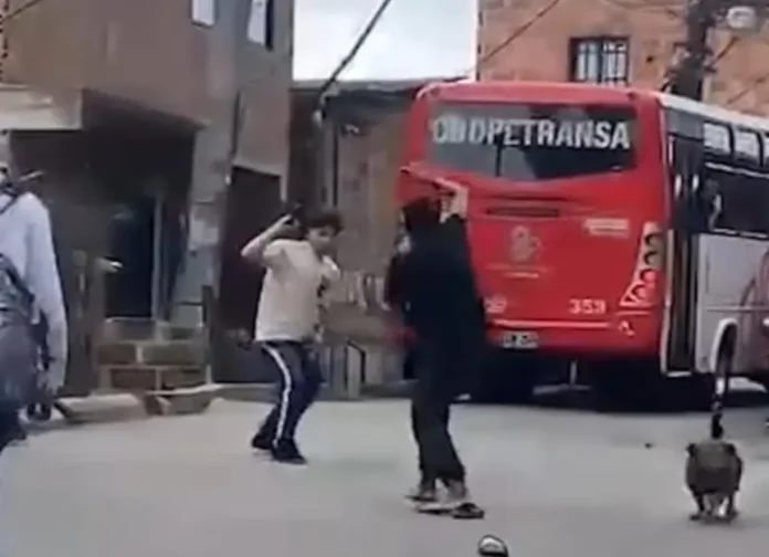 machete_48034341_20250605182725.jpg