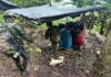 Golpe al Clan del Golfo: destruyen cuatro laboratorios de cocaína en Valdivia
