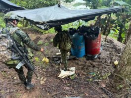 Golpe al Clan del Golfo: destruyen cuatro laboratorios de cocaína en Valdivia